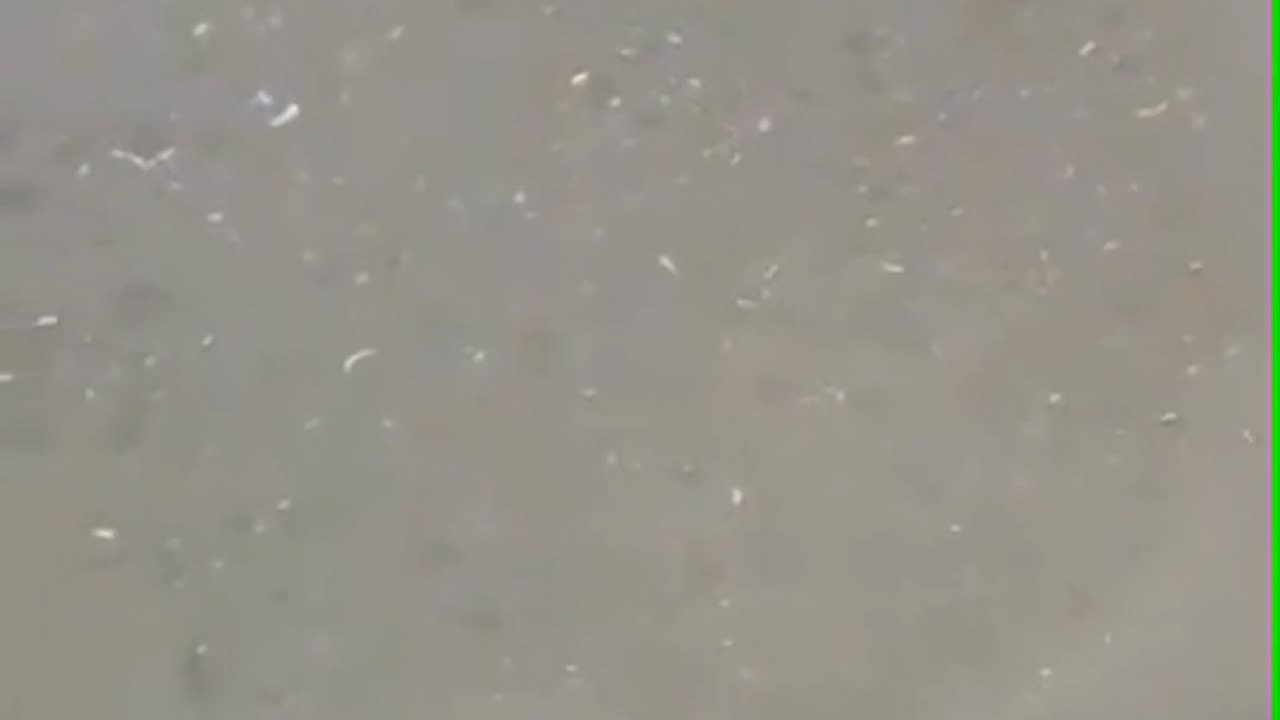 dish cleaning device