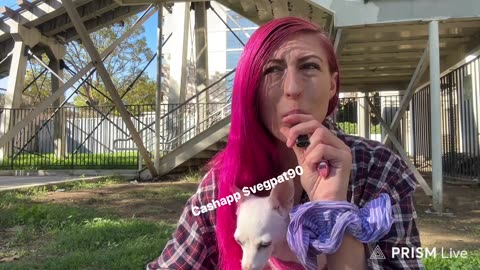 12/28/25 Vegan Patriot VOD: "el boredo" Part 1