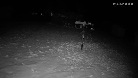 Bird Feeder in Western Maryland USA