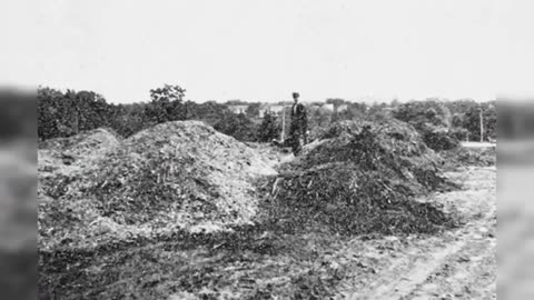 19th Century Asymmetric Wars: Who Was Really Being Wiped Out Worldwide? -