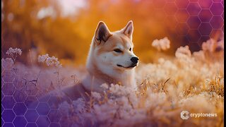 Grayscale Introduces Dogecoin Investment Fund Available to Institutional Investors