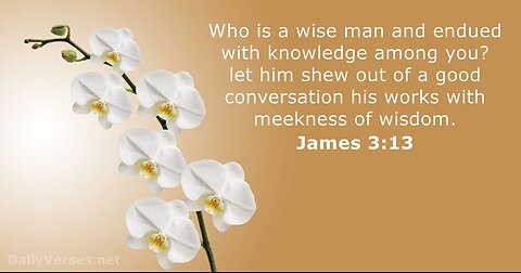 Verse Of The Day : James 3:13 Who Among You is Wise and Intelligent?