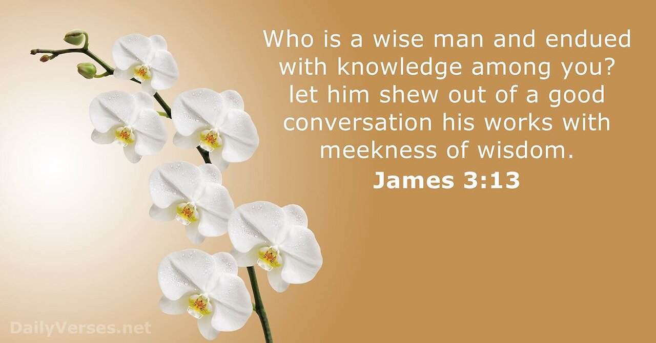 Verse Of The Day : James 3:13 Who Among You is Wise and Intelligent?