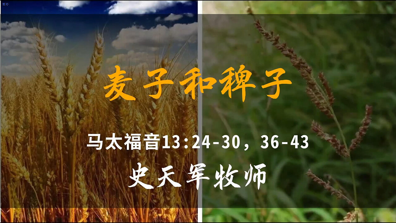 2025-10-12 《麦子和稗子》-史天军牧师