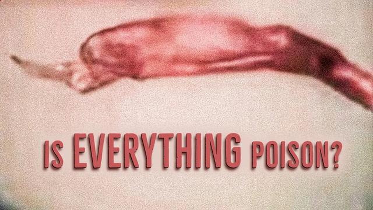 IS EVERYTHING POISON? [2025-10-25] - UNDERSTANDING CONSPIRACY