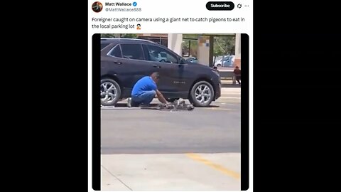 This Man Is Not Catching Homing Pigeons!