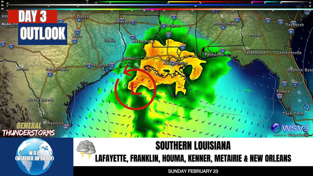 🌩️ Thunderstorms & Hail Possible: S. Louisiana Sunday! 2/21/25 #shorts #weather #stormupdate