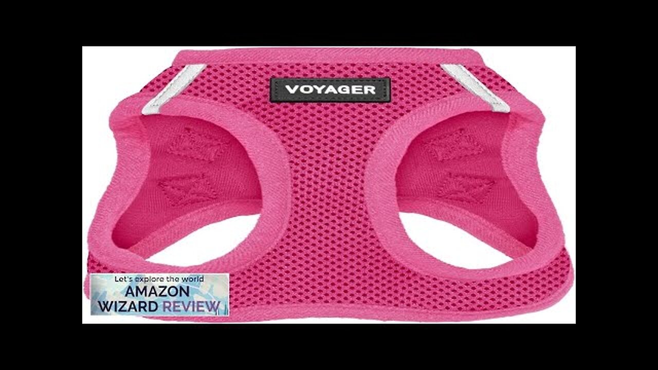 Voyager Step-in Air Dog Harness All Weather Mesh Step in Vest Review