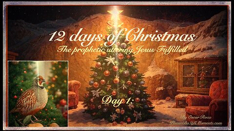 12 Days of Christmas Pt 1. |Christmas Series 2025-26