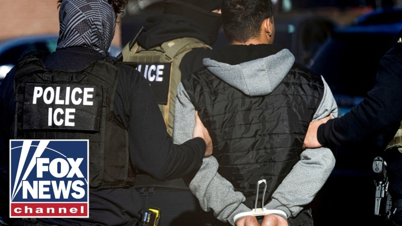 Rep. Cuellar_ This is what ICE needs to target