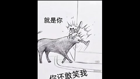 18 November 2025 - Gyros and Pizza, valuable lessons, Climate grifters, AI is gotten good, More!