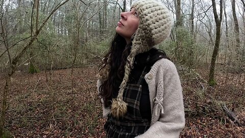 Covered in Ice/Georgia Ice Storm