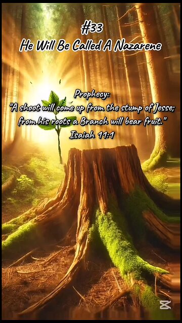 #33 He will be called a Nazarene - Jesus Christ Prophecies Fulfilled