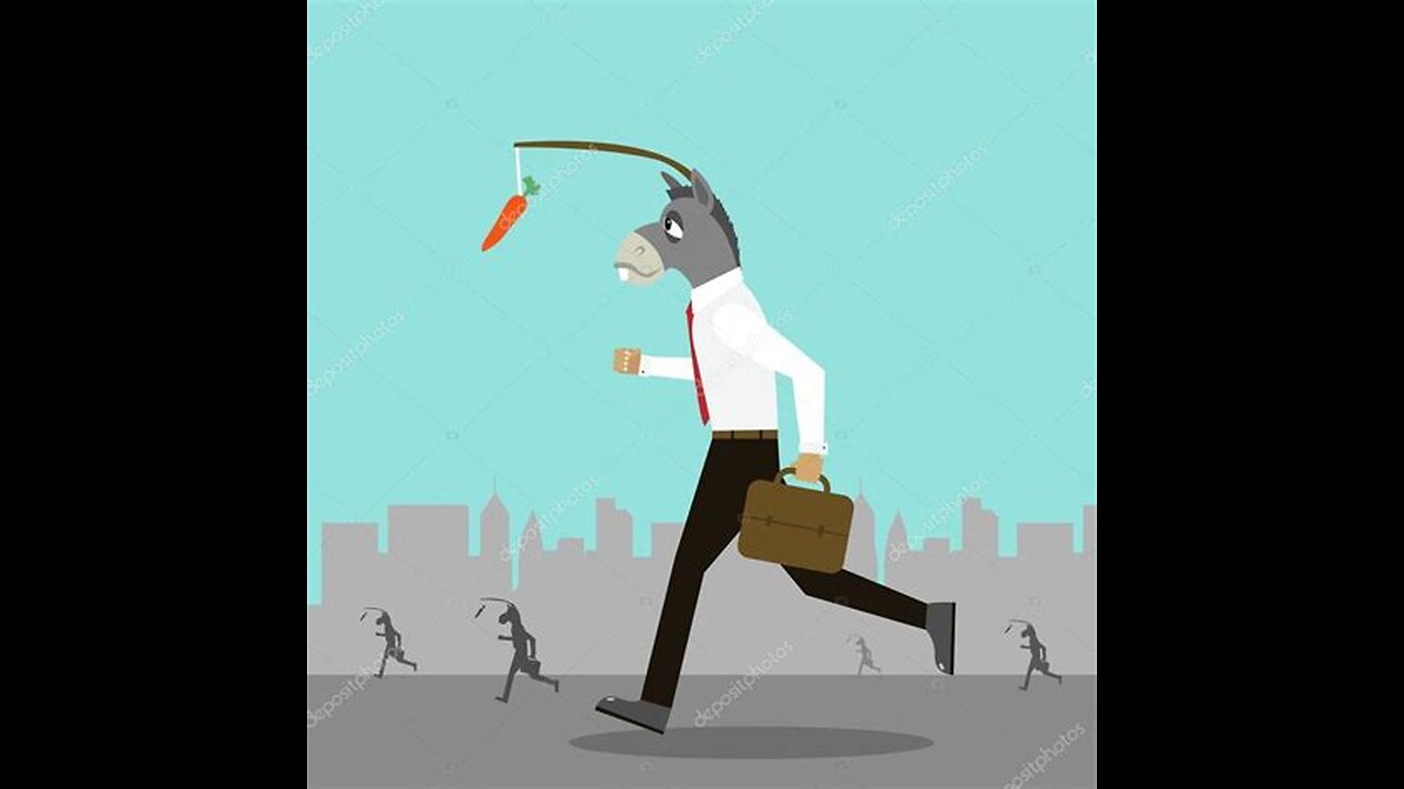 Il Ciuchino 2. Auflage