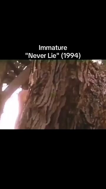Immature "Never Lie" (1994)