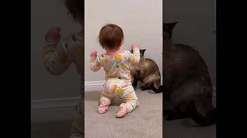 Cats and babies 😺👶