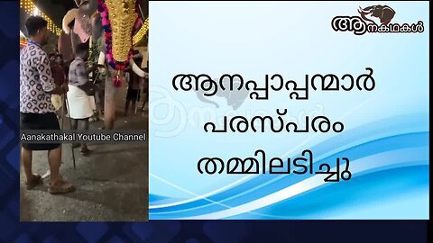 ആന പാപ്പന്മാർ തമ്മിലടിച്ചു, പരിക്ക് പറ്റിയ പാപ്പാനെ ആശുപത്രിയിൽ പ്രവേശിപ്പിച്ചു _ Kerala elephant