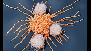 5 Powerful Foods That Naturally Boost Natural Killer (NK) Cells