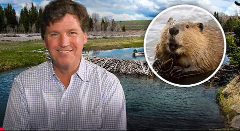 Tucker’s Morning Routine and Daily Encounter With an Angry Beaver