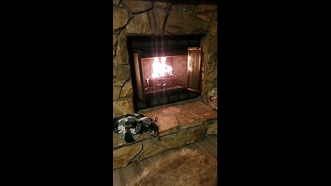 Fireplace in FL