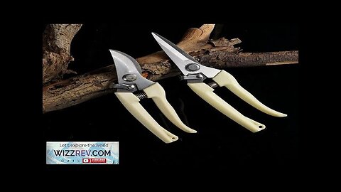 Pruning Garden Scissors Professional Trimmer Orchard Scissors Bonsai Outdoor Gardening Review