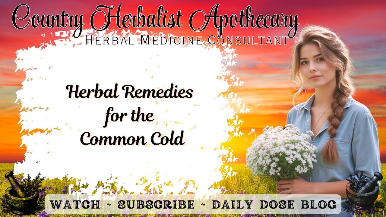 Herbal Remedies for the Common Cold