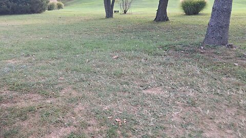 Lol!! Mom's pecker putter lost it's sleeve