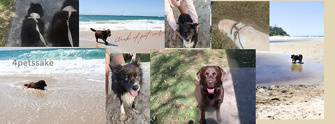 Pet care for the Week 🐾🤍