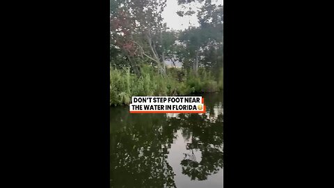 Have to be careful in Florida it’s no joke