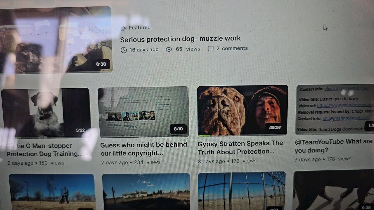 Heads up, HostGator legal team