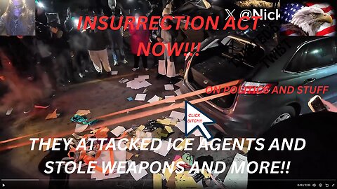 THEY ATTACKED ICE AGENTS AND STOLE WEAPONS: INSURRECTION ACT NOW!!