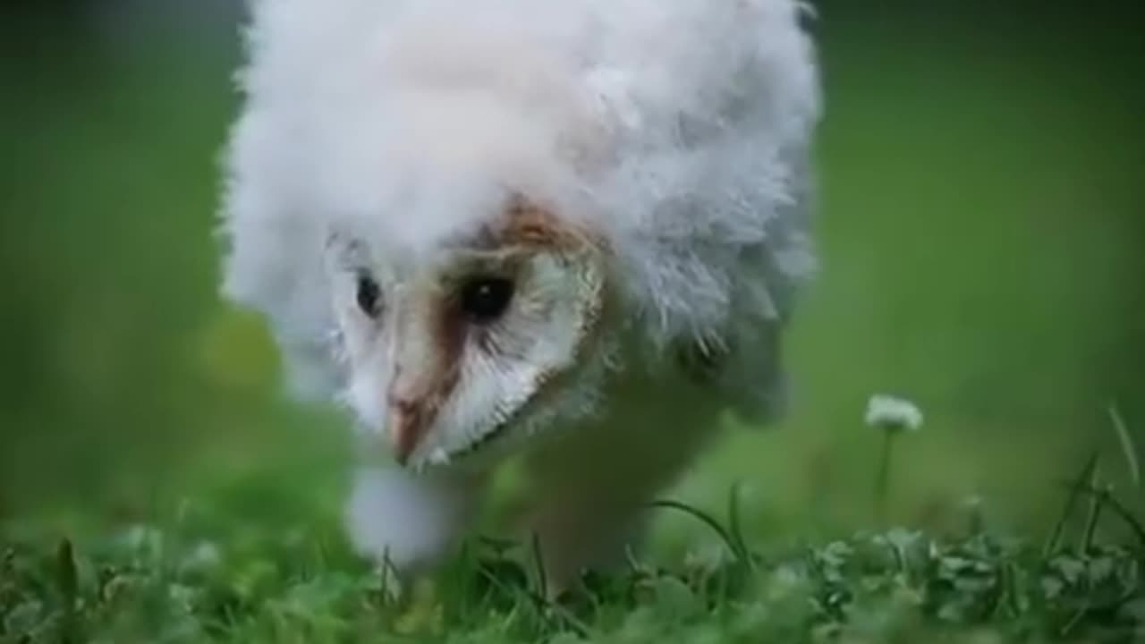 Exploring its surroundings