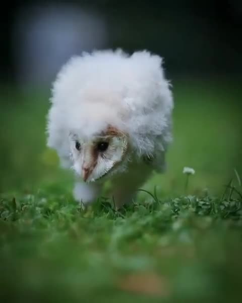 Exploring its surroundings