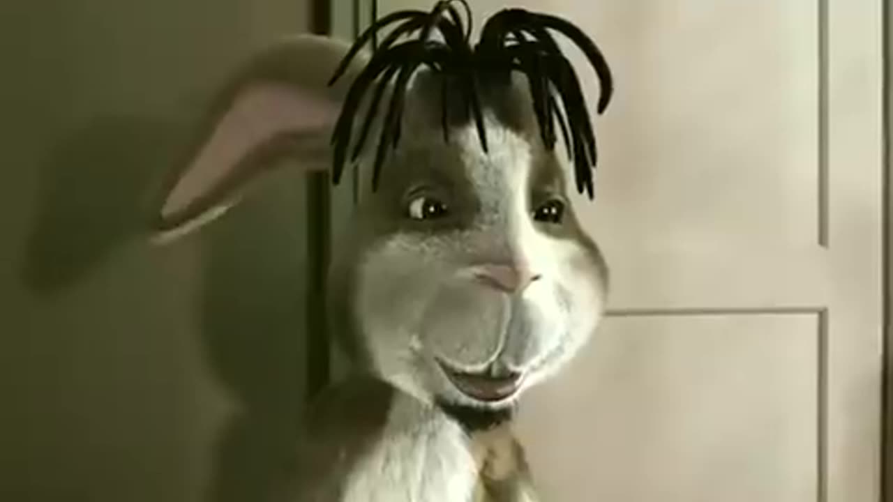 COUTING CROWS- Accidentally Love