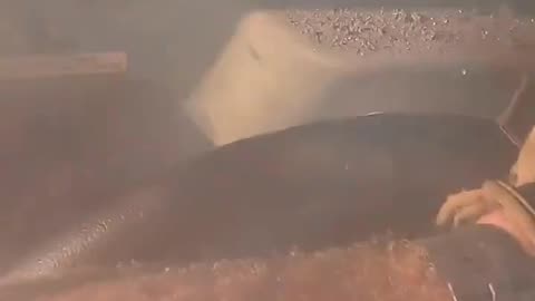 🇧🇾🚜 Ukraine Russia War | Belarusian Fighters Hit by Russian Forces in Zaporizhia | RCF