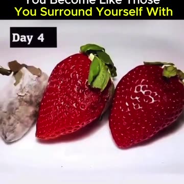 You become like those you surround yourself with