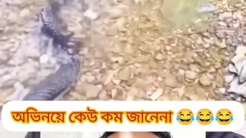 🐟 “অভিনয় কেউ কম জানে না! দেখেন গড়াই মাছের বুদ্ধি 🐍”