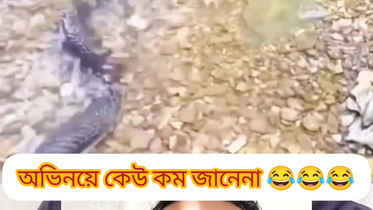 🐟 “অভিনয় কেউ কম জানে না! দেখেন গড়াই মাছের বুদ্ধি 🐍”