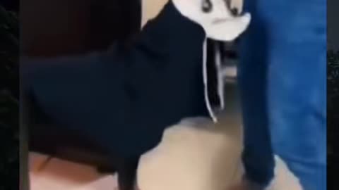 👻😱 Poltergeist Caught Throwing Objects in Kitchen! | TheHauntingHour