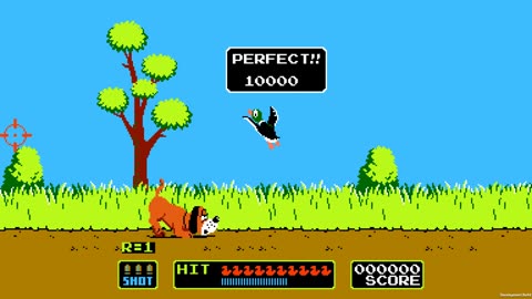 Duck Hunt In Progress