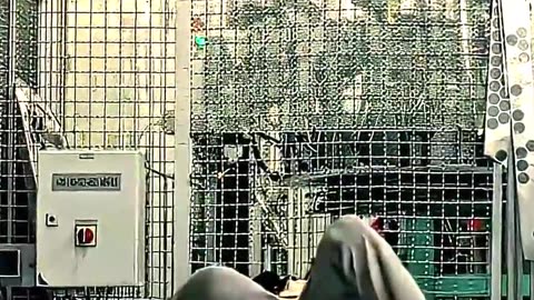 Grace Saves Dani- Terminator #edit #viralvideo #movie