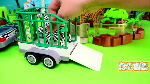 Hippos Fight Over Fruit and Vegetables with Zebras in Cage