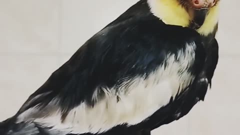 Let me sleep.
