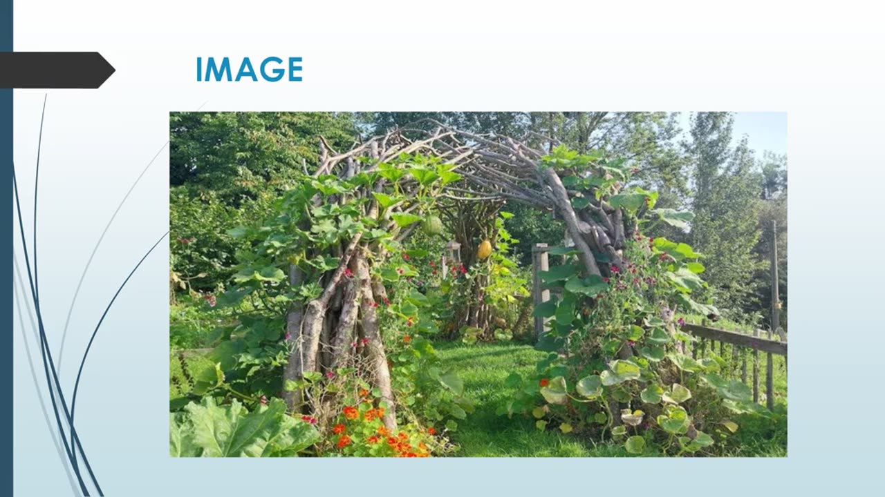 Best Hedge Trimming in Easton