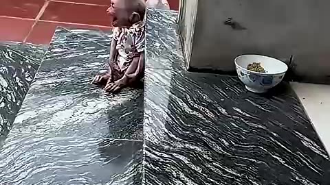 Must Watch: Monkey’s Love for His Owner 🐒😍 #shorts