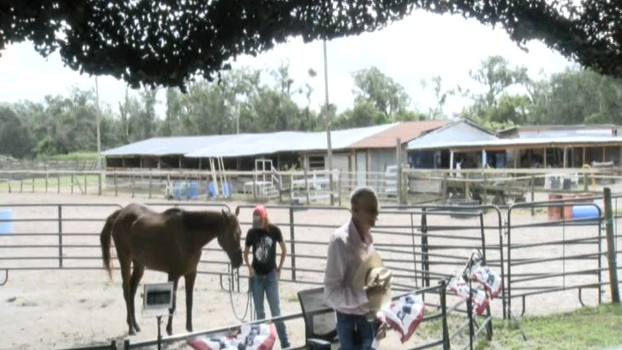 Skipper Calder & Cowboy-up Ministry bring horse training with a message at 11am.