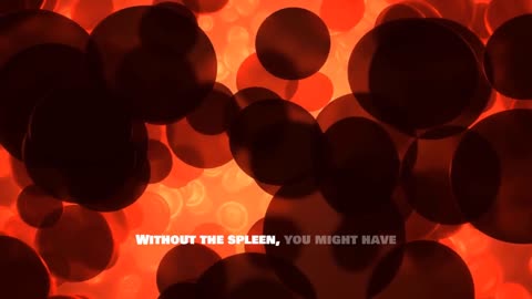 Can You Live Without a Spleen? Your Body’s Hidden Hero Explained!
