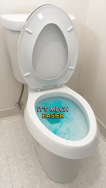 How to Plunge A Toilet