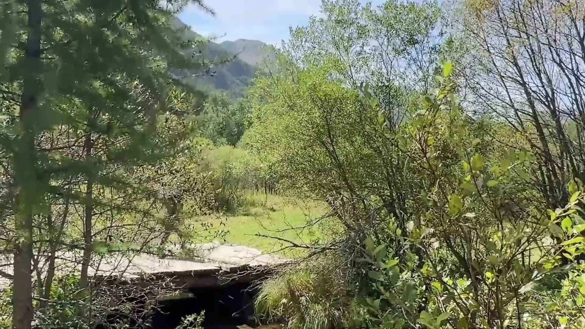 Enquête à tombeau ouvert : laffaire Kabile.