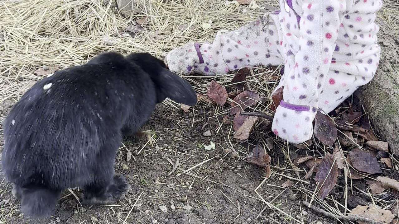 Baby Kayla Feeds Lettuce to the Bunnies
